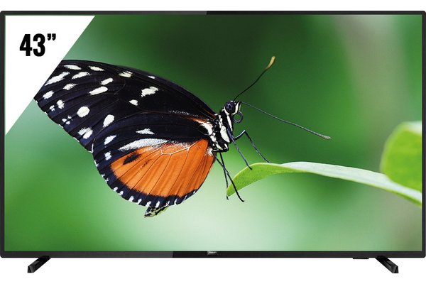 Philips 43HFL3014 43