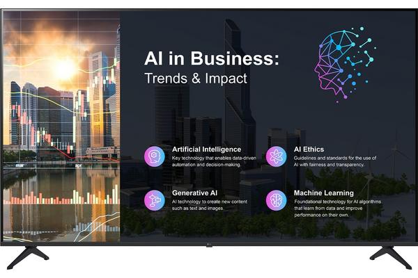 LG Electronics TV LED 65PK640S