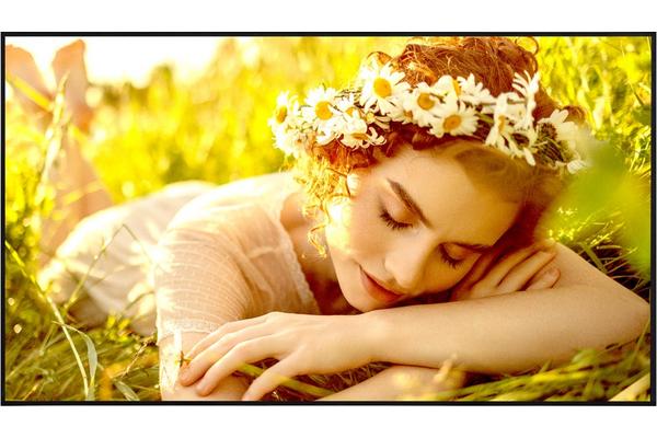 LG Electronics Moniteurs 55'' 55UL5Q-E