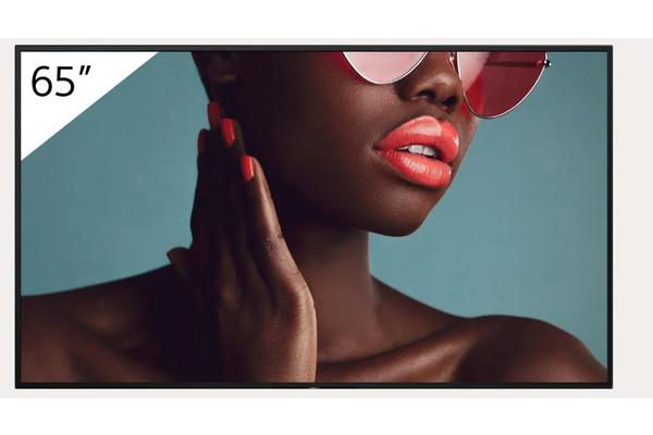 Sony Moniteurs 65'' FW-65BZ40L